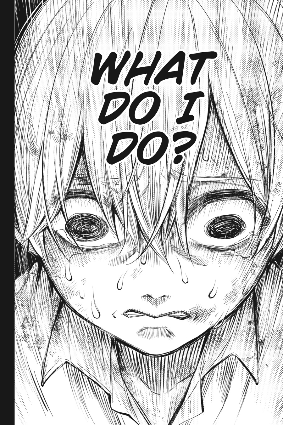 Read Black Butler EN Manga Online