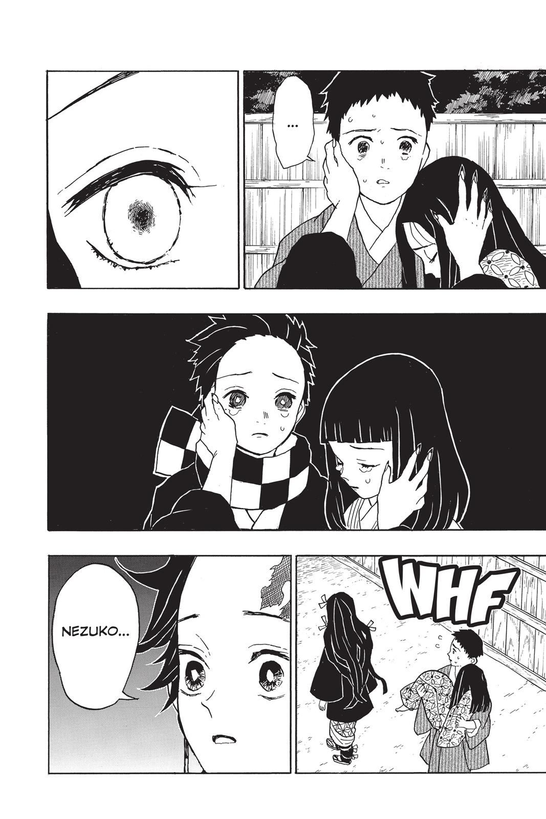 Read Demon Slayer EN Manga Online