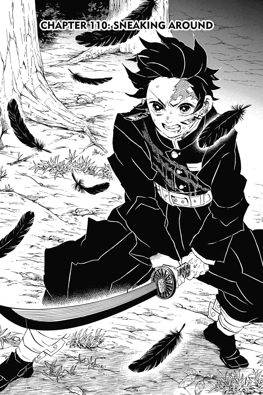 Read Demon Slayer EN Manga Online