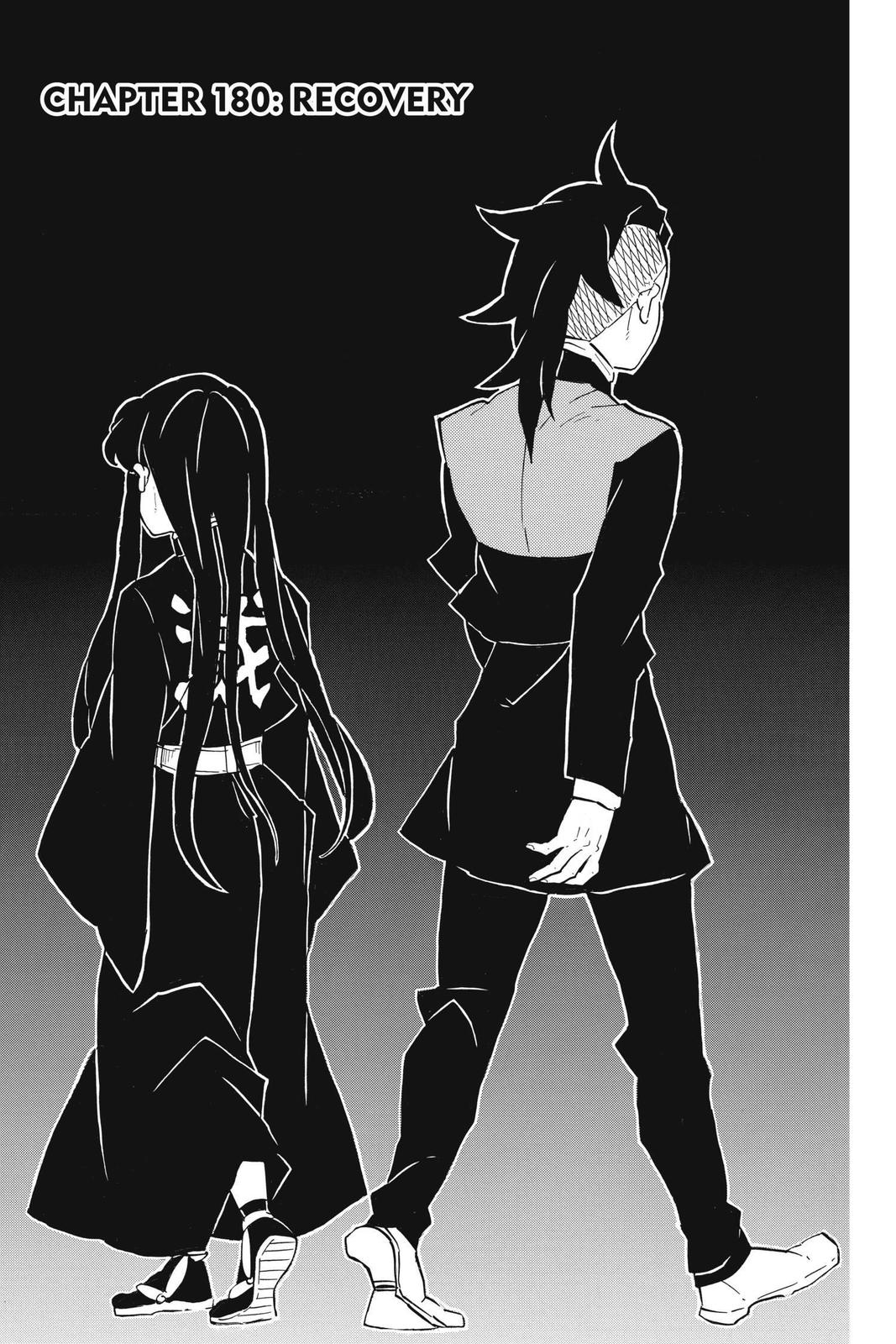 Read Demon Slayer EN Manga Online