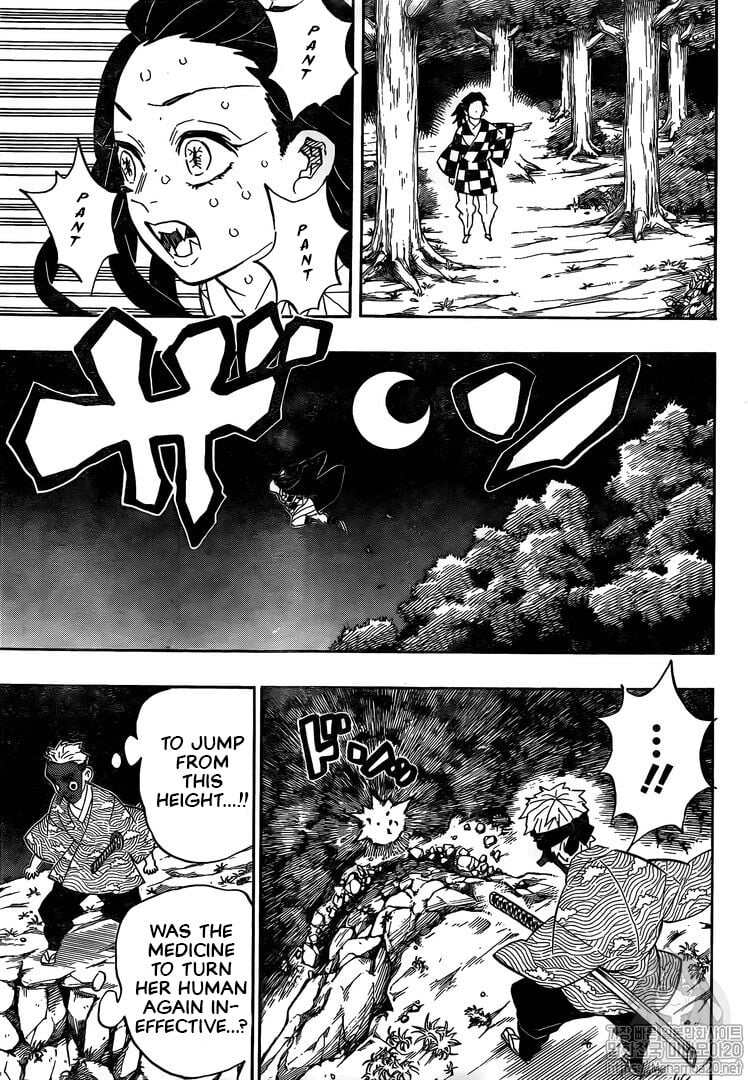 Read Demon Slayer EN Manga Online