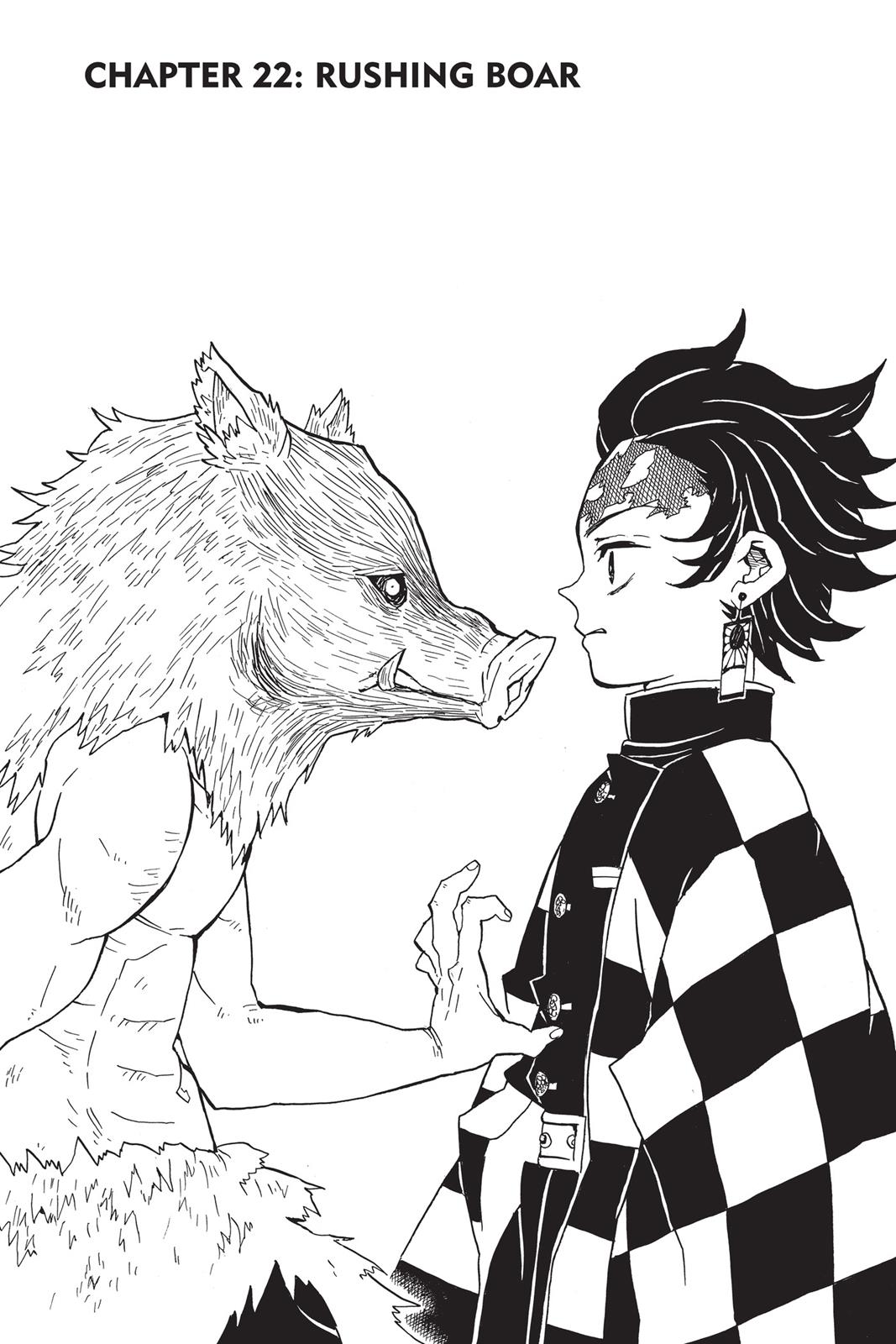 Read Demon Slayer EN Manga Online