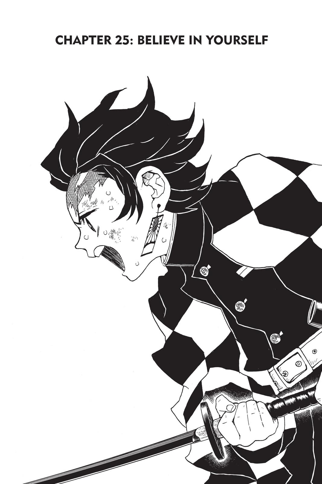 Read Demon Slayer EN Manga Online
