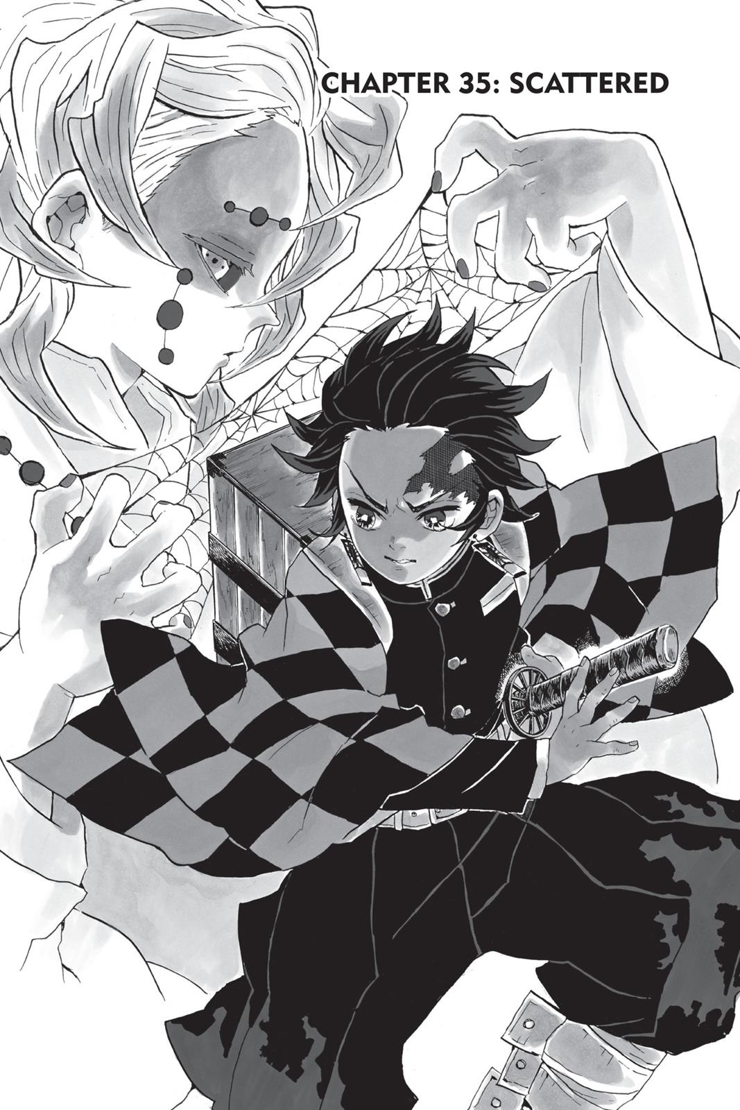 Read Demon Slayer EN Manga Online