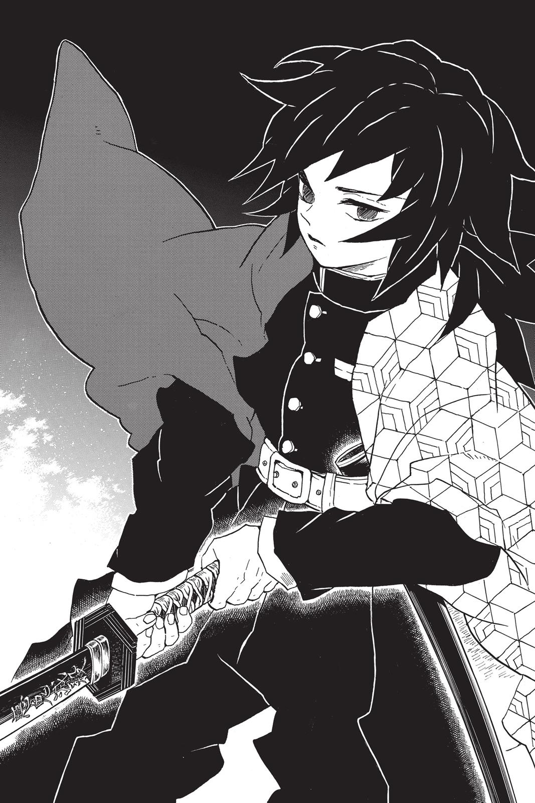 Read Demon Slayer EN Manga Online