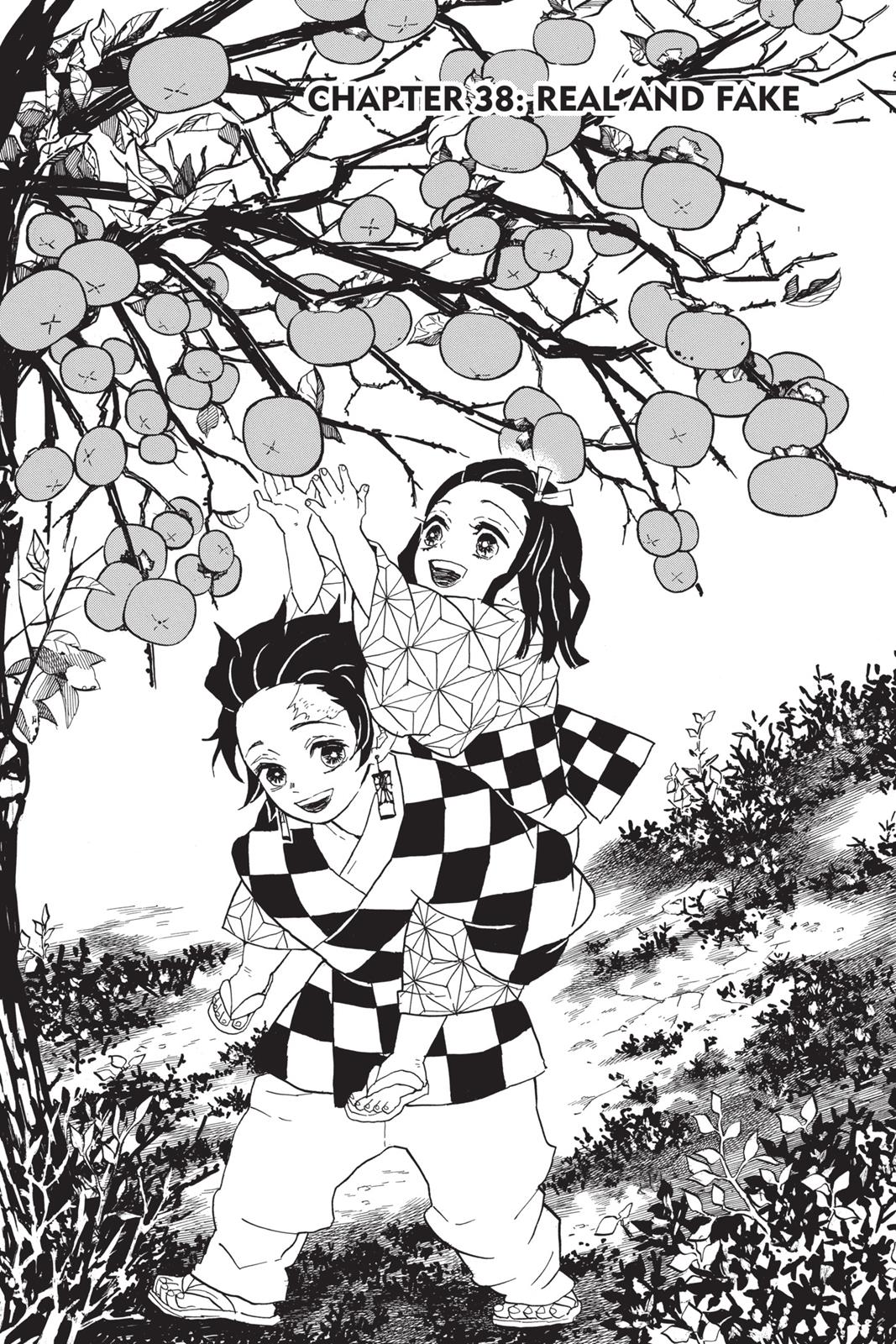 Read Demon Slayer EN Manga Online