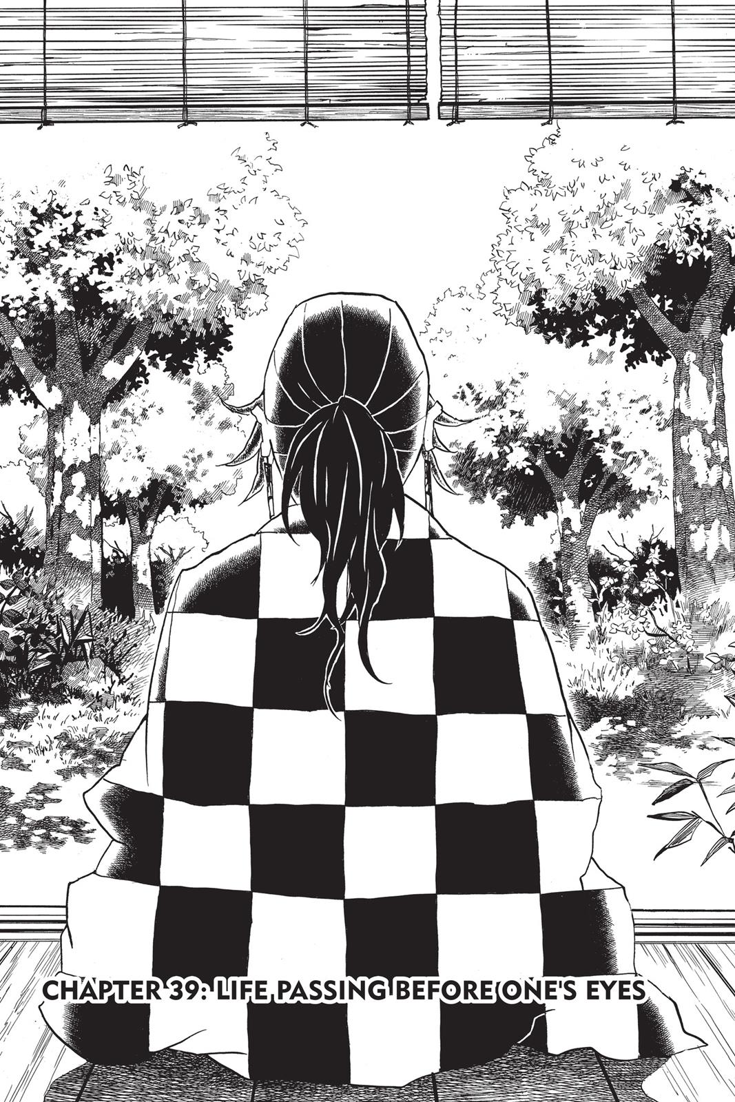 Read Demon Slayer EN Manga Online