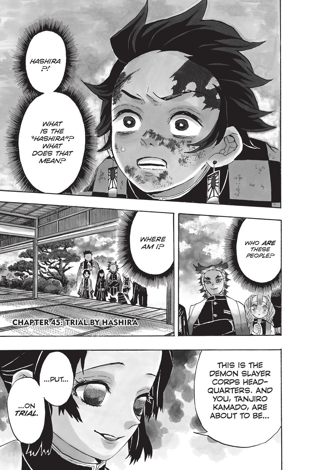 Read Demon Slayer EN Manga Online