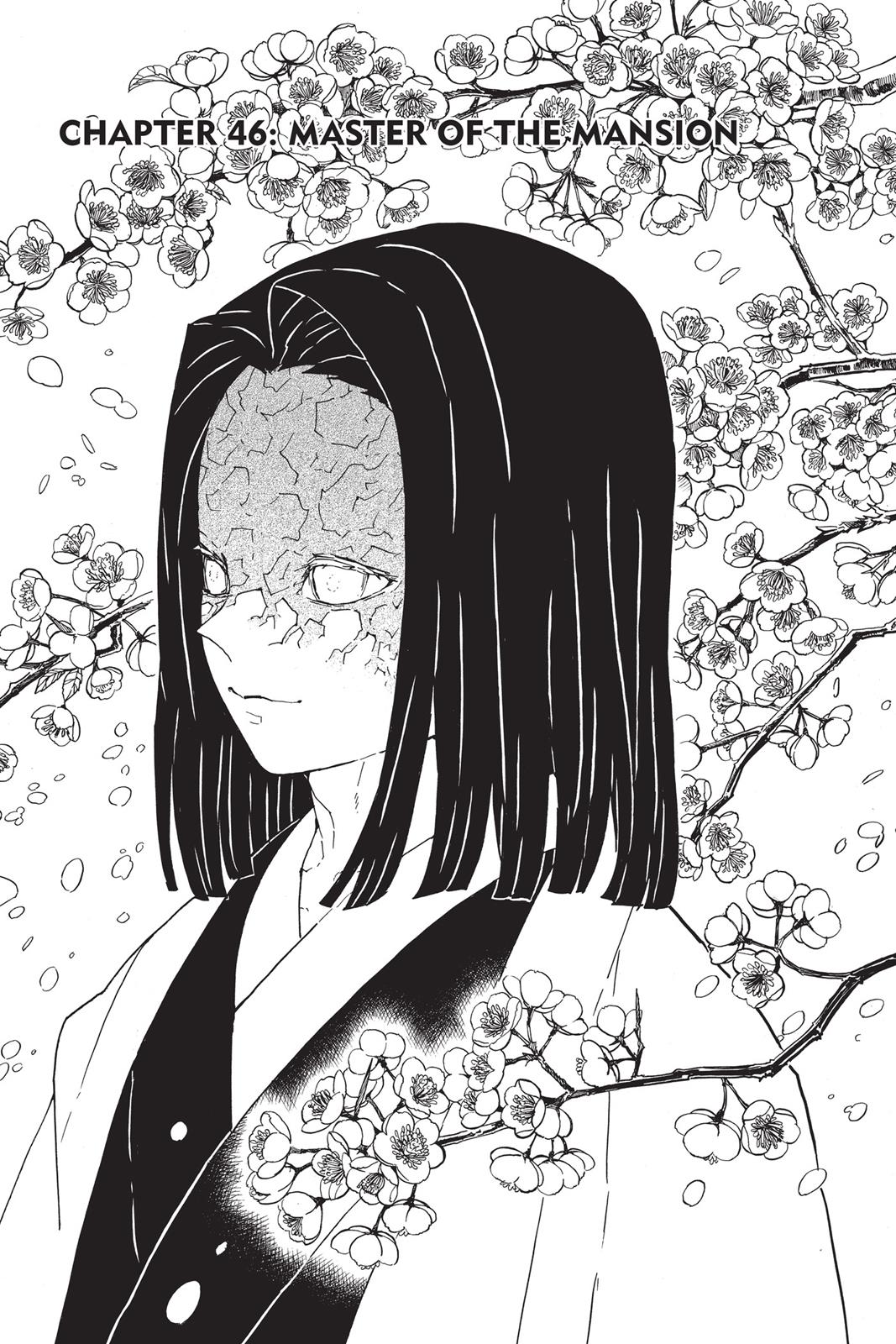 Read Demon Slayer EN Manga Online
