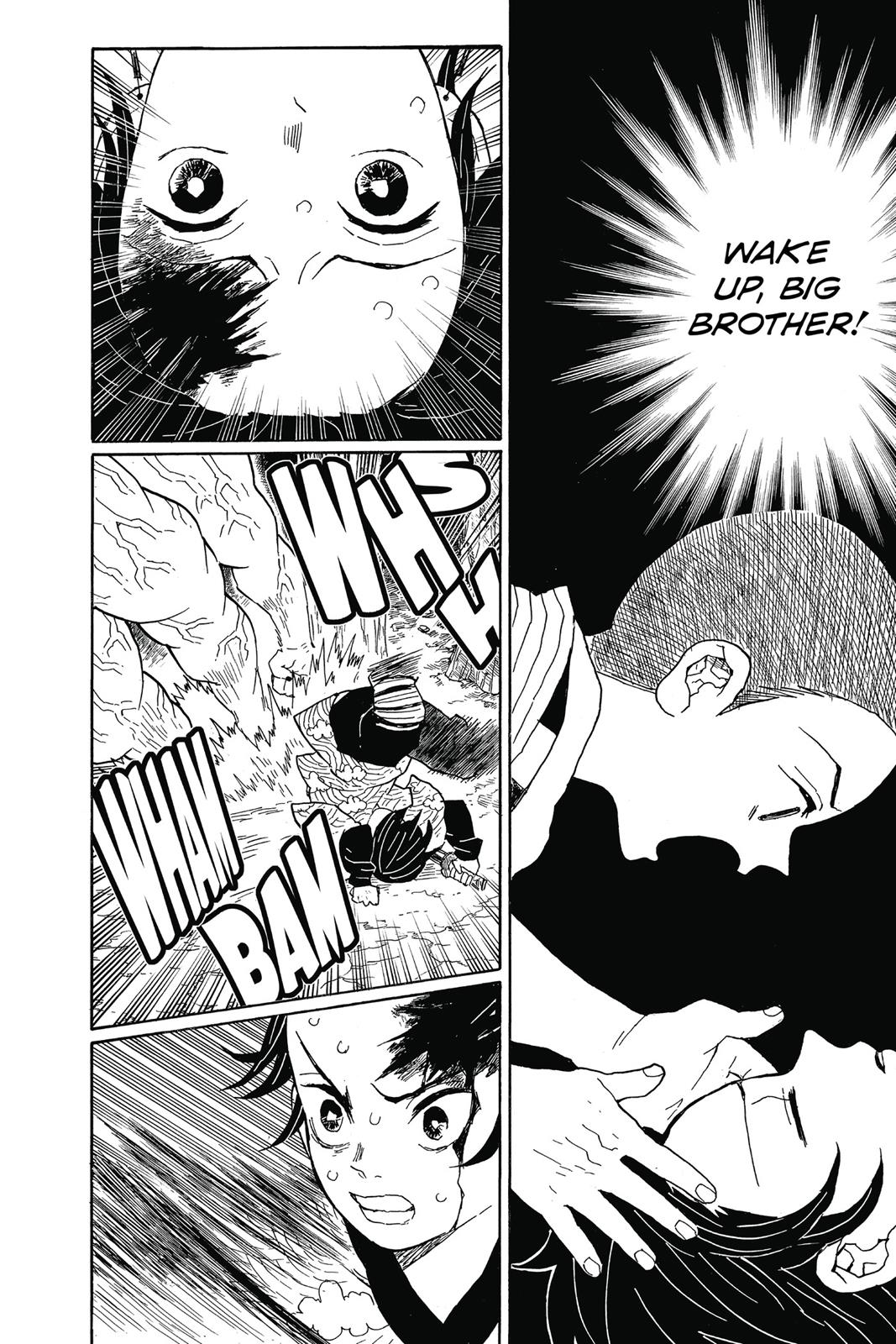 Read Demon Slayer EN Manga Online