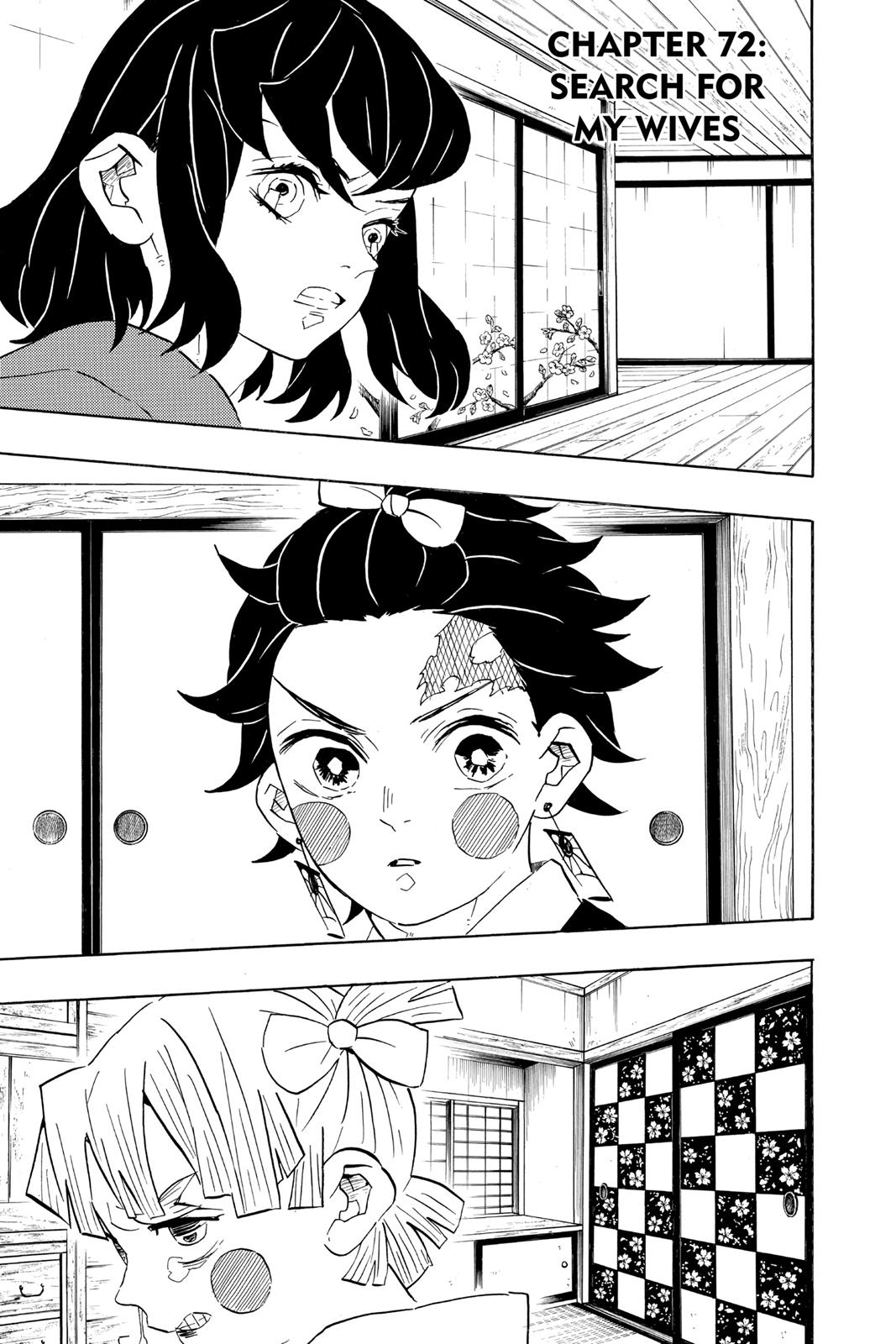 Read Demon Slayer EN Manga Online