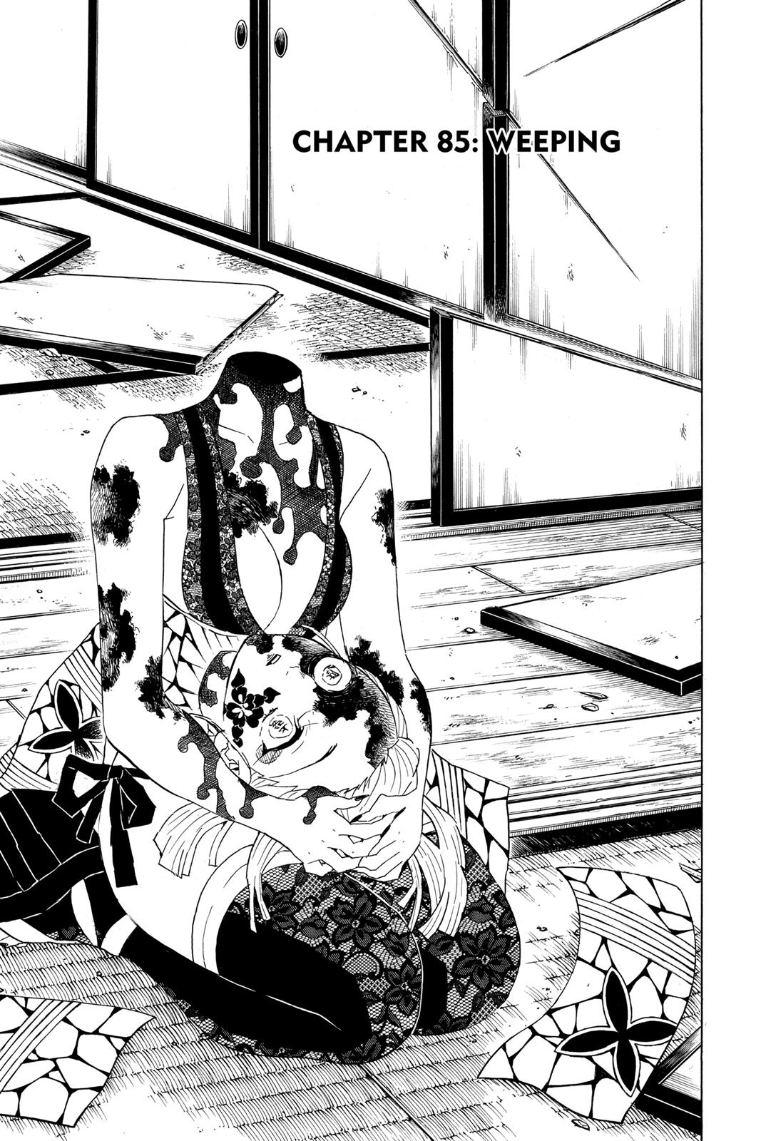 Read Demon Slayer EN Manga Online