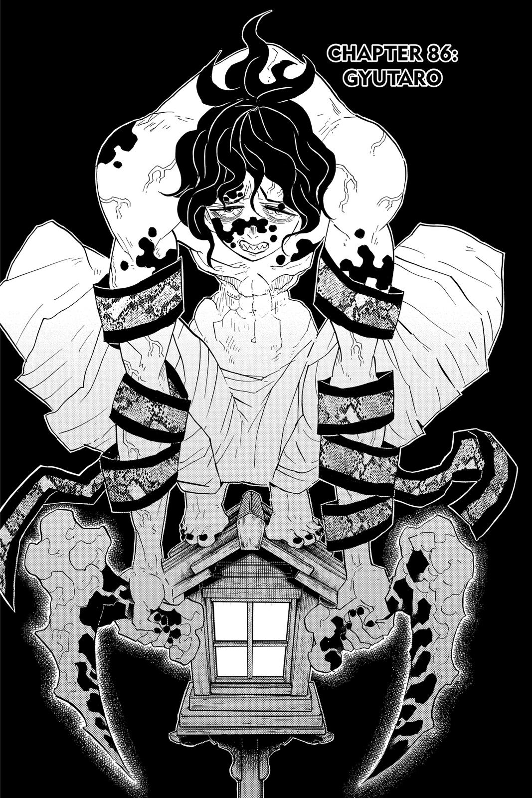 Read Demon Slayer EN Manga Online