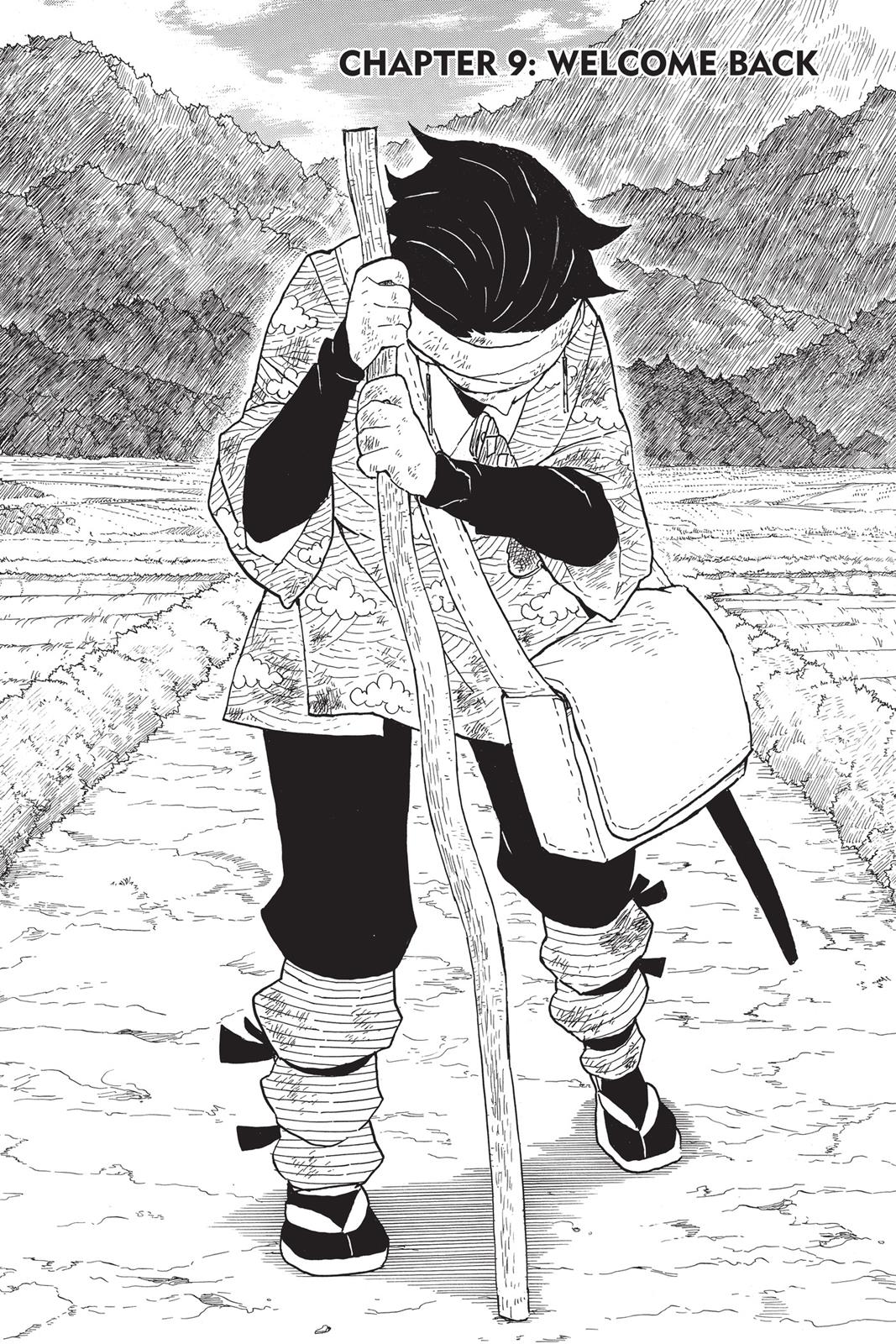Read Demon Slayer EN Manga Online