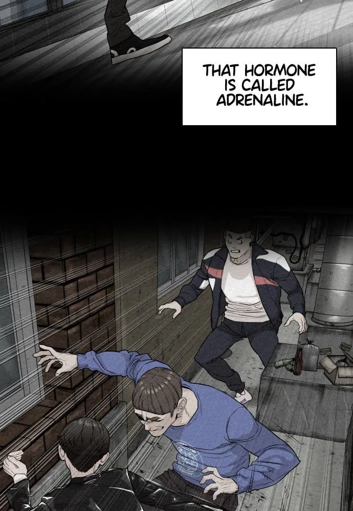 Read How to Fight EN Manga Online