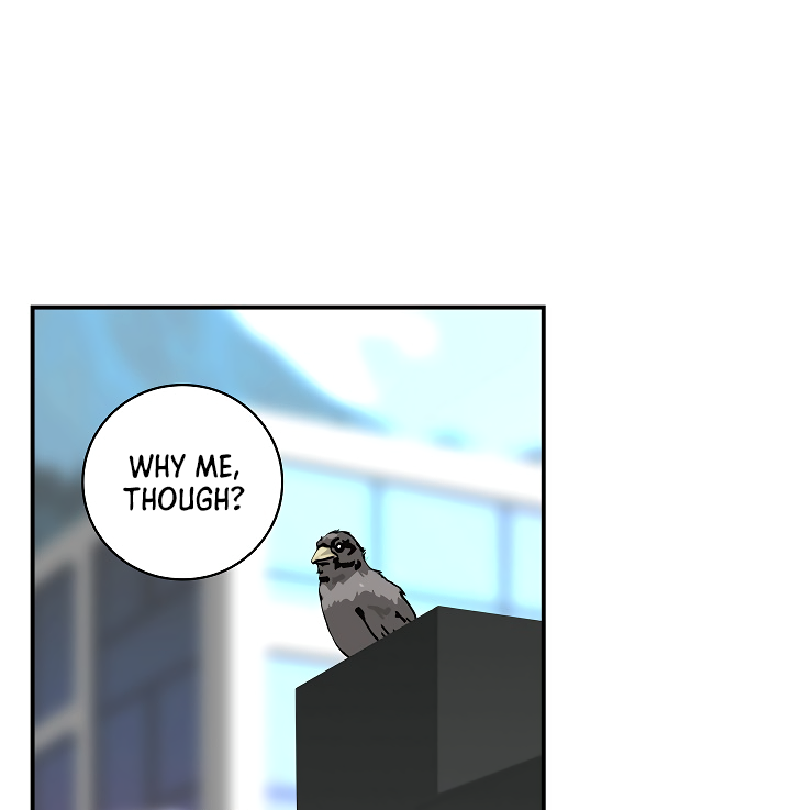 Read I'm Destined to Greatness EN Manga Online