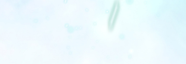 Read Is This Hero for Real EN Manga Online