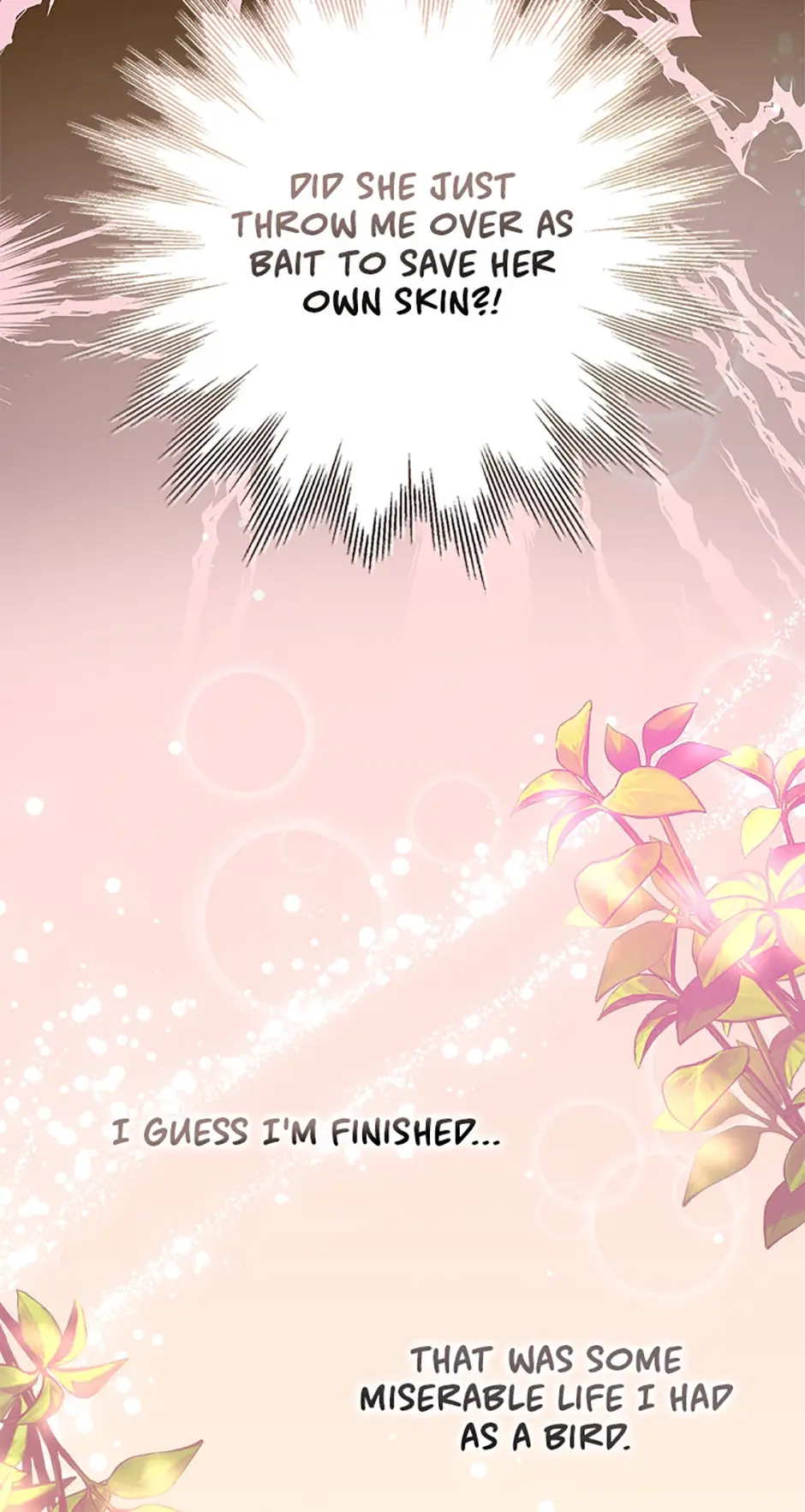 Read Lady Blue Bird of the White Lion Family EN Manga Online
