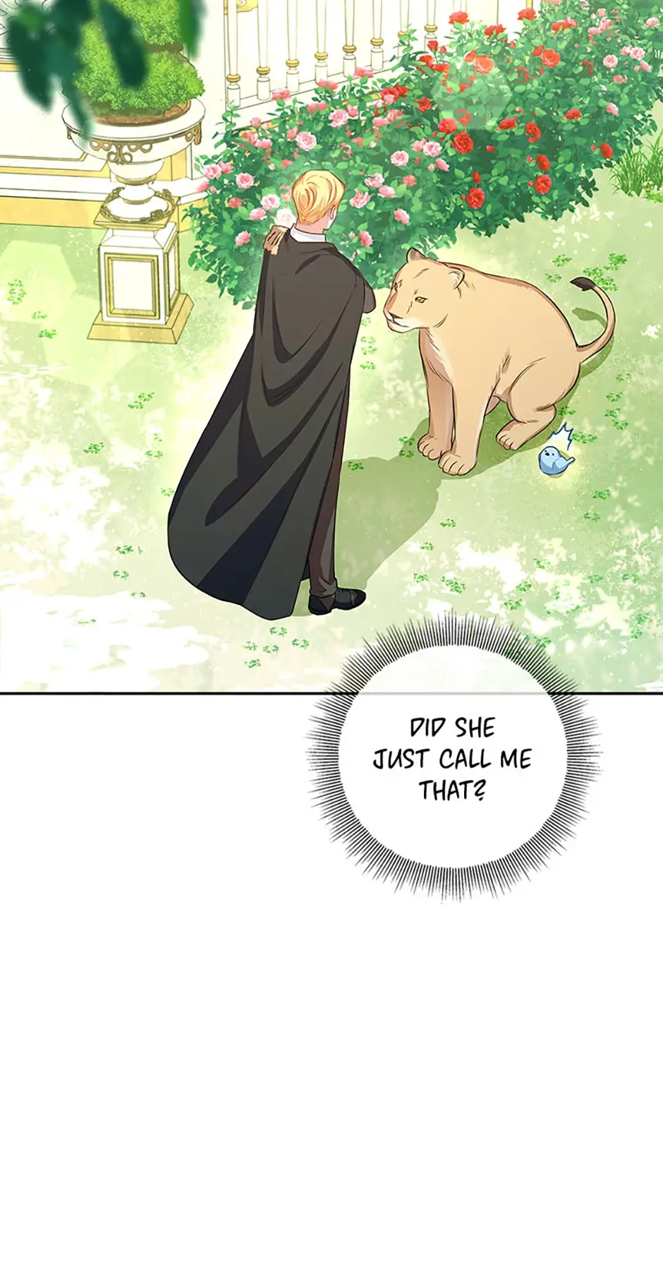 Read Lady Blue Bird of the White Lion Family EN Manga Online