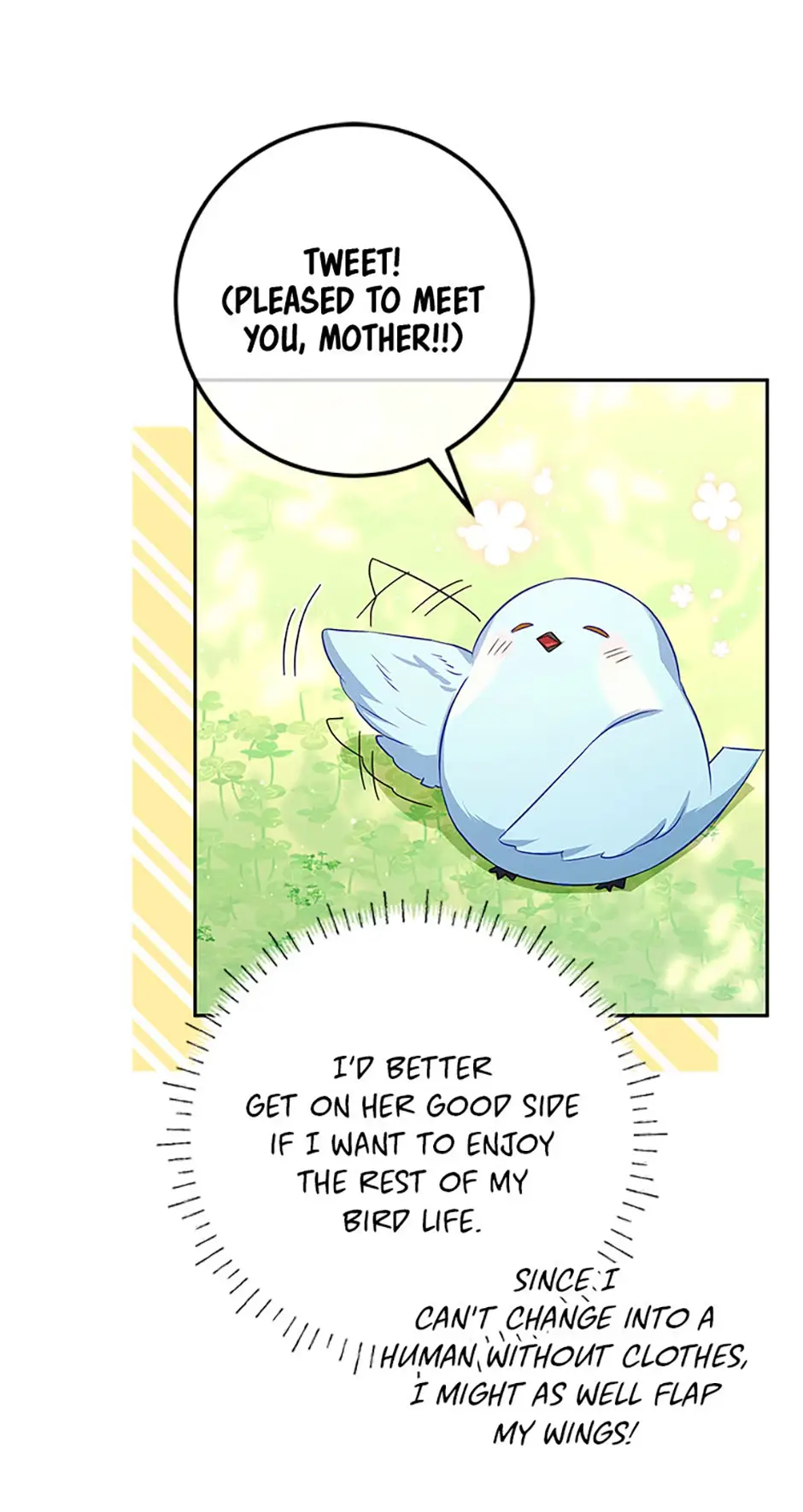 Read Lady Blue Bird of the White Lion Family EN Manga Online