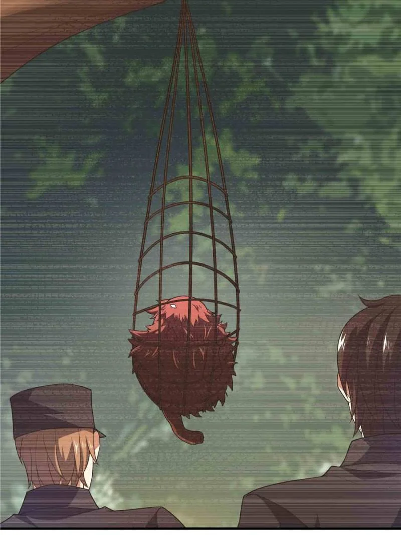 Read Monster Pet Evolution EN Manga Online