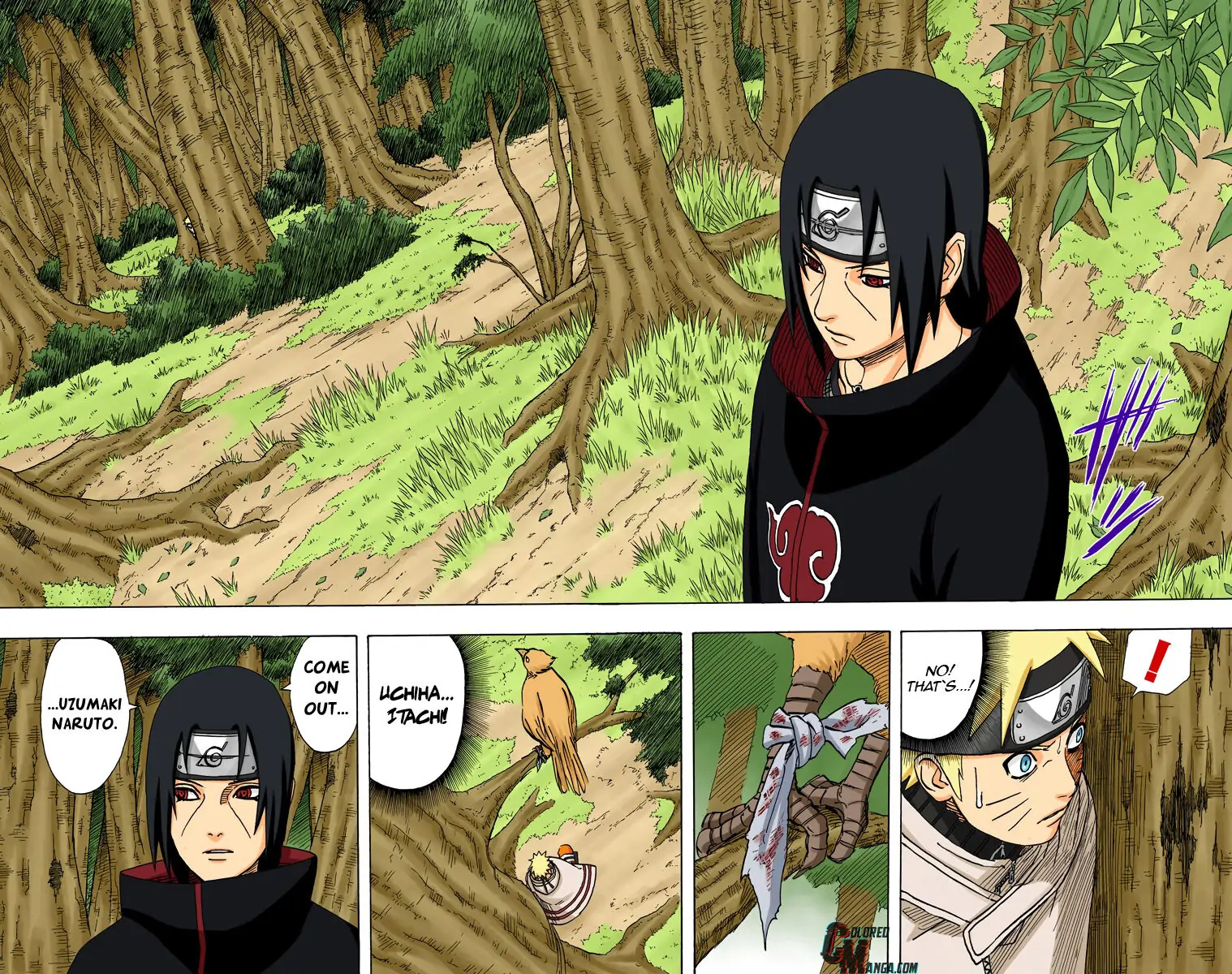 Read Naruto EN Manga Online