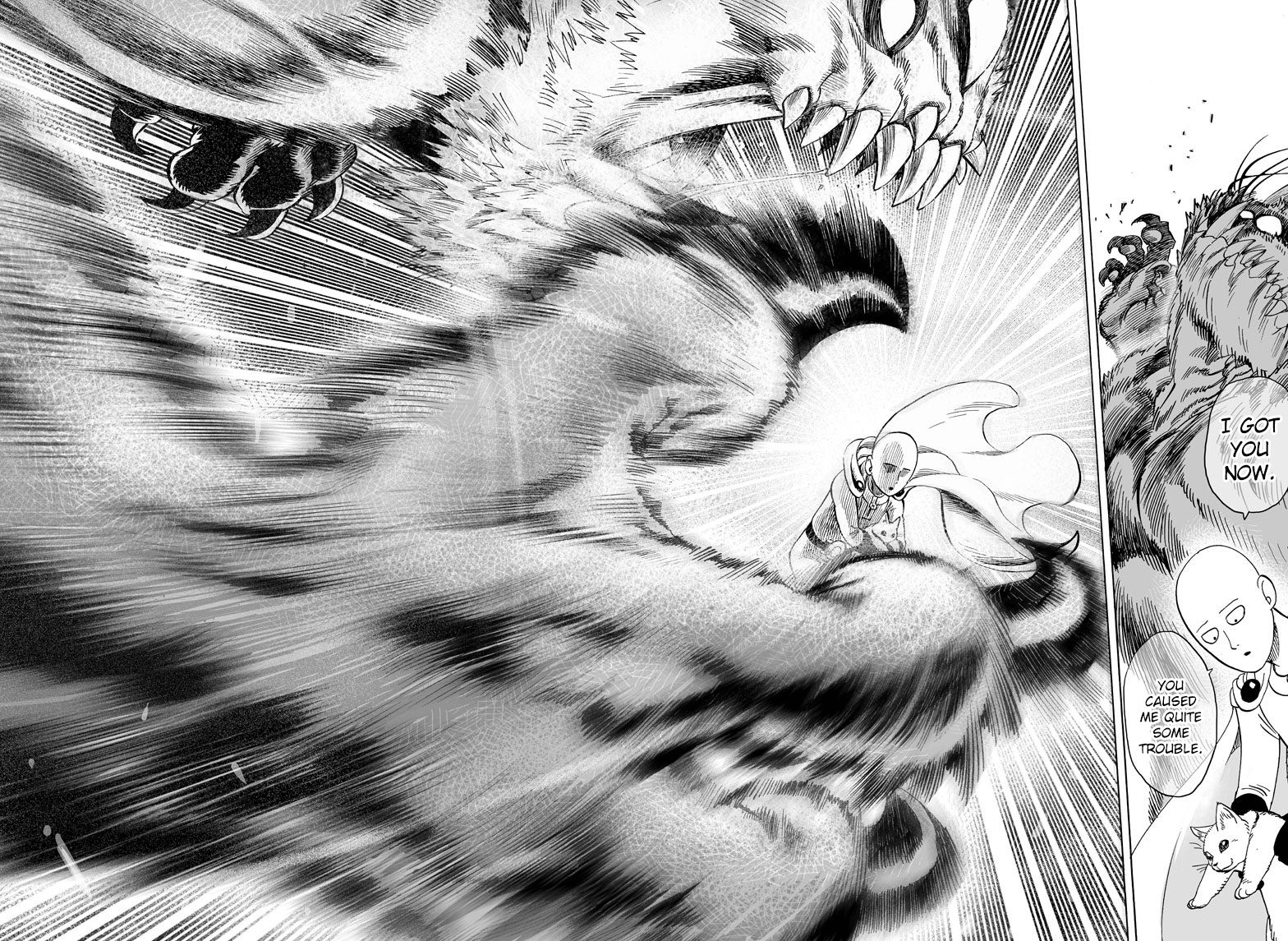 Read One-Punch Man EN Manga Online
