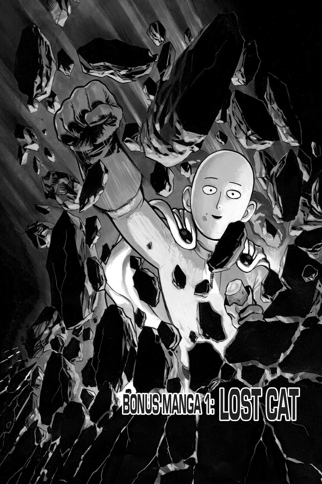 Read One-Punch Man EN Manga Online