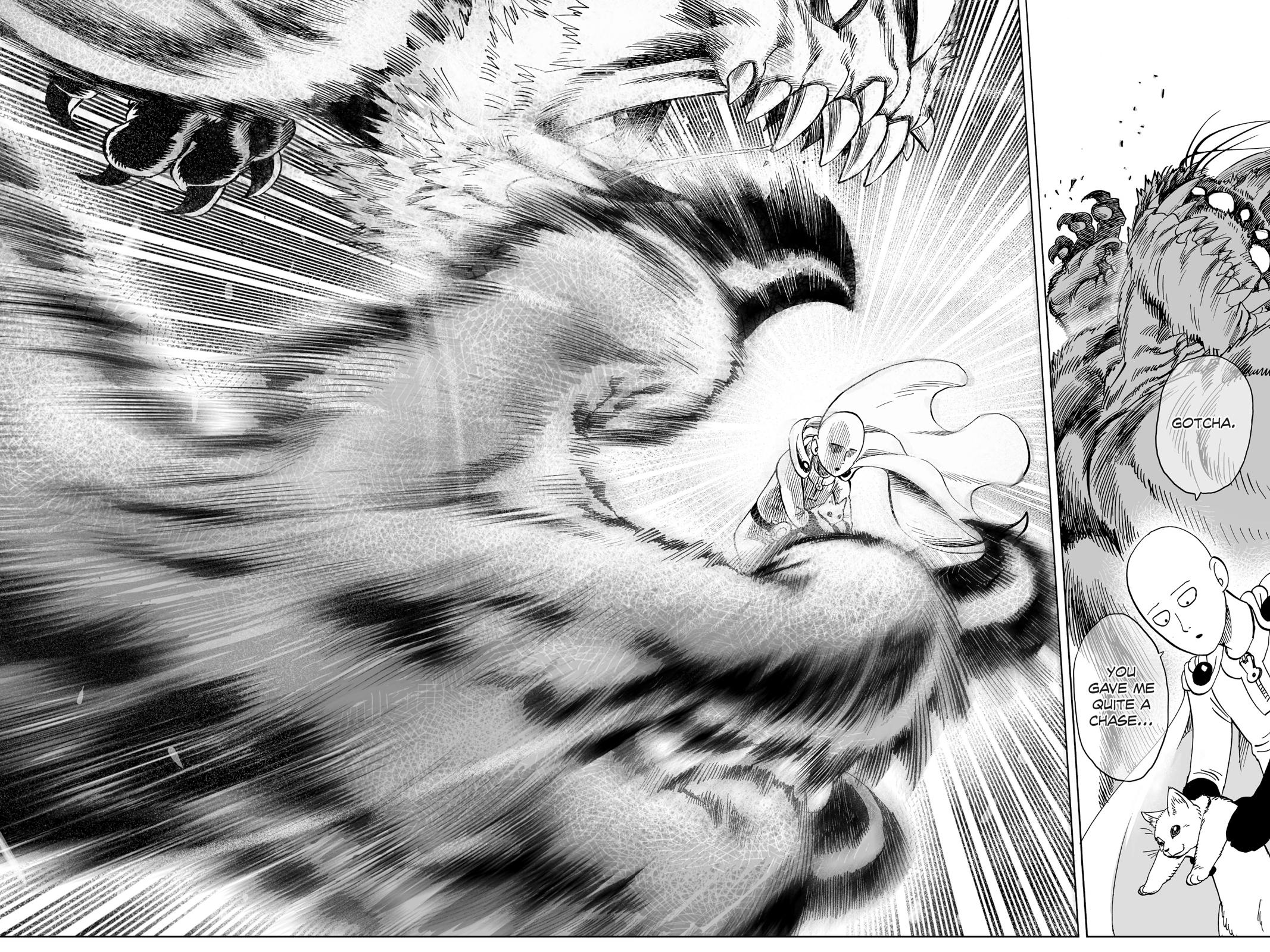 Read One-Punch Man EN Manga Online