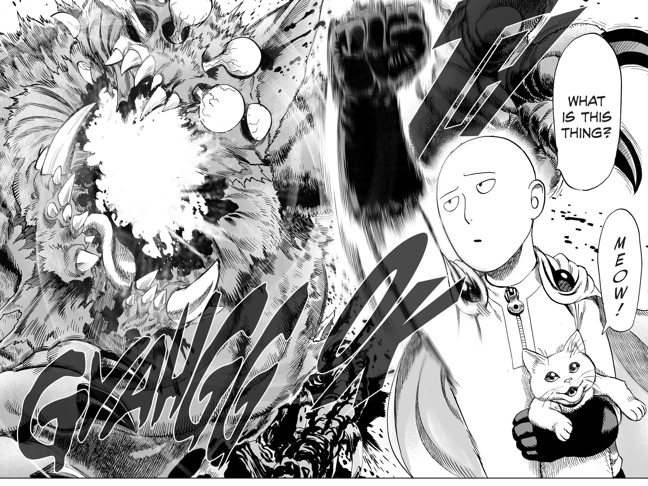Read One-Punch Man EN Manga Online