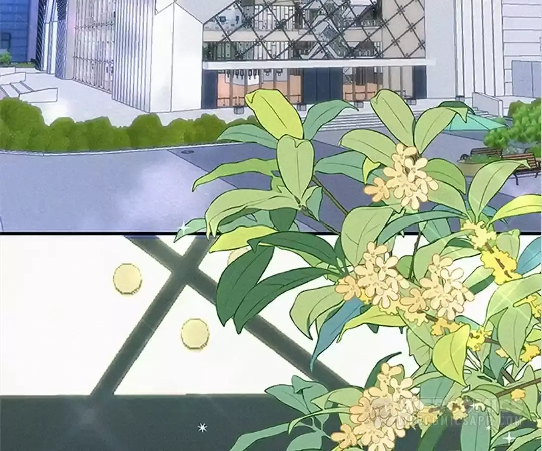 Read Only Love EN Manga Online