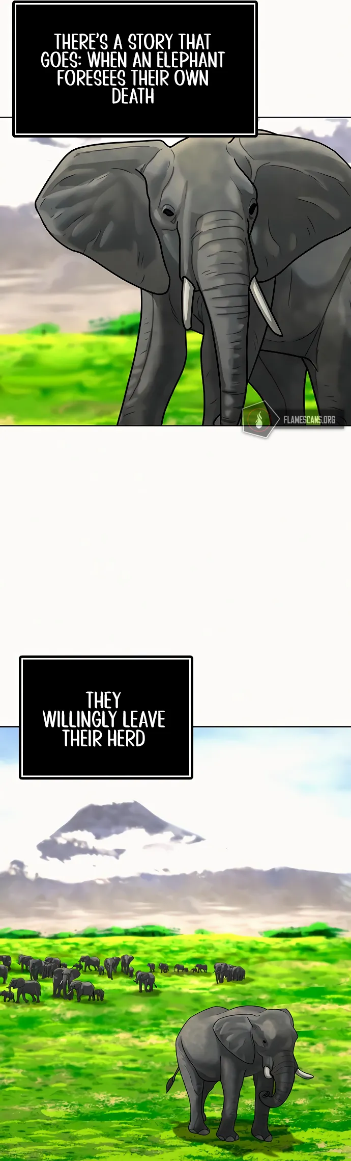Read Reality Quest EN Manga Online