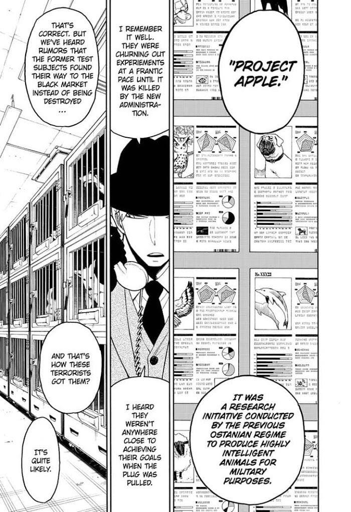 Read SPY x FAMILY EN Manga Online