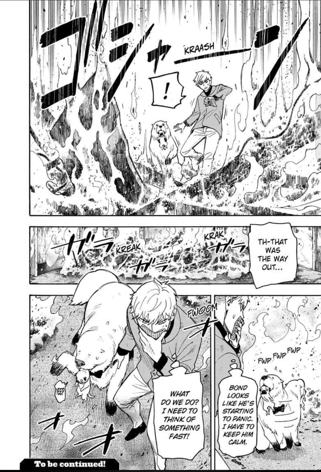Read SPY x FAMILY EN Manga Online