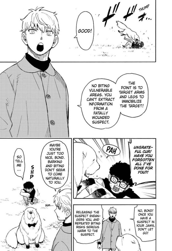 Read SPY x FAMILY EN Manga Online