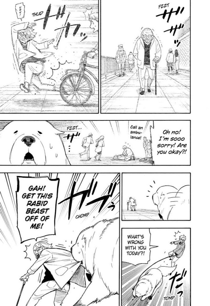 Read SPY x FAMILY EN Manga Online