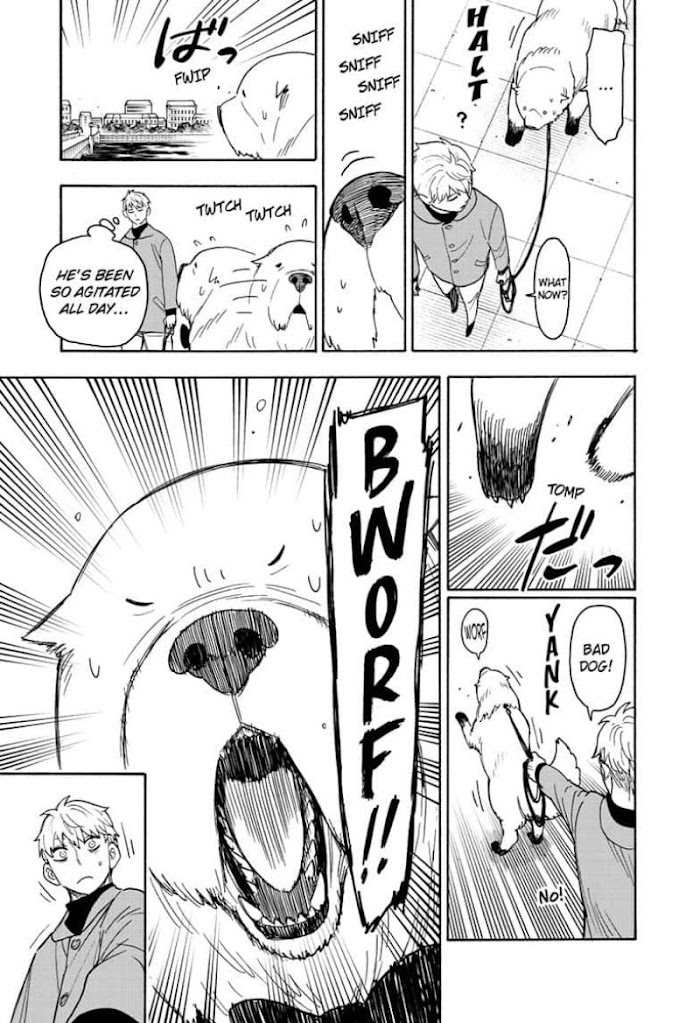 Read SPY x FAMILY EN Manga Online