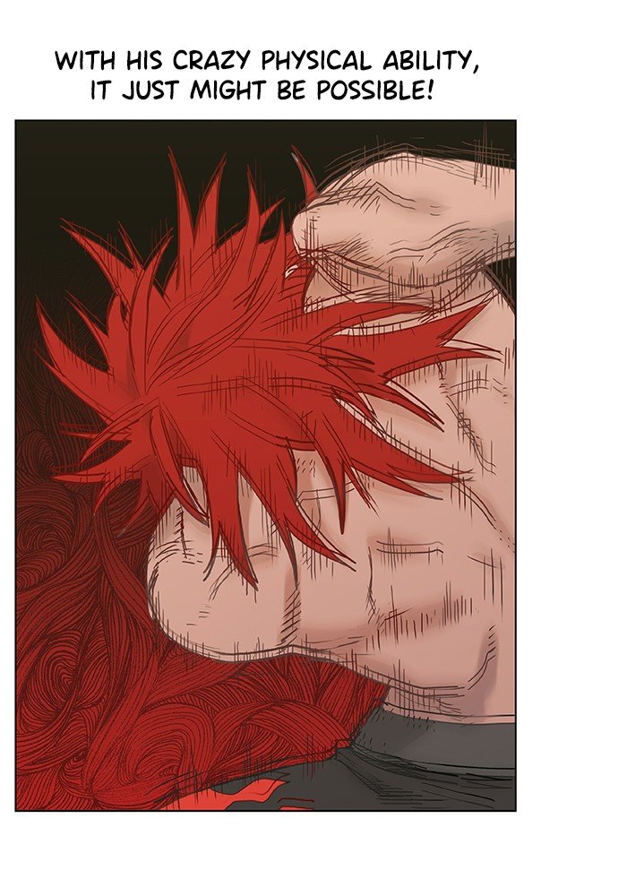 Read The Boxer EN Manga Online