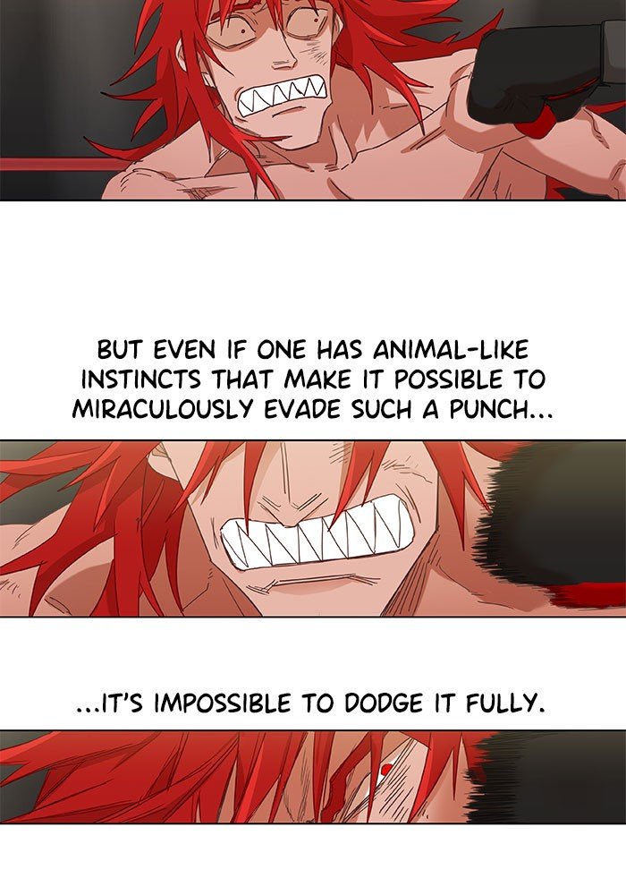 Read The Boxer EN Manga Online