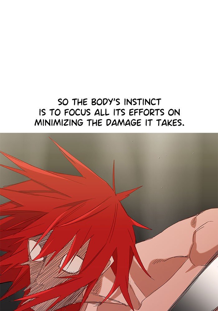 Read The Boxer EN Manga Online