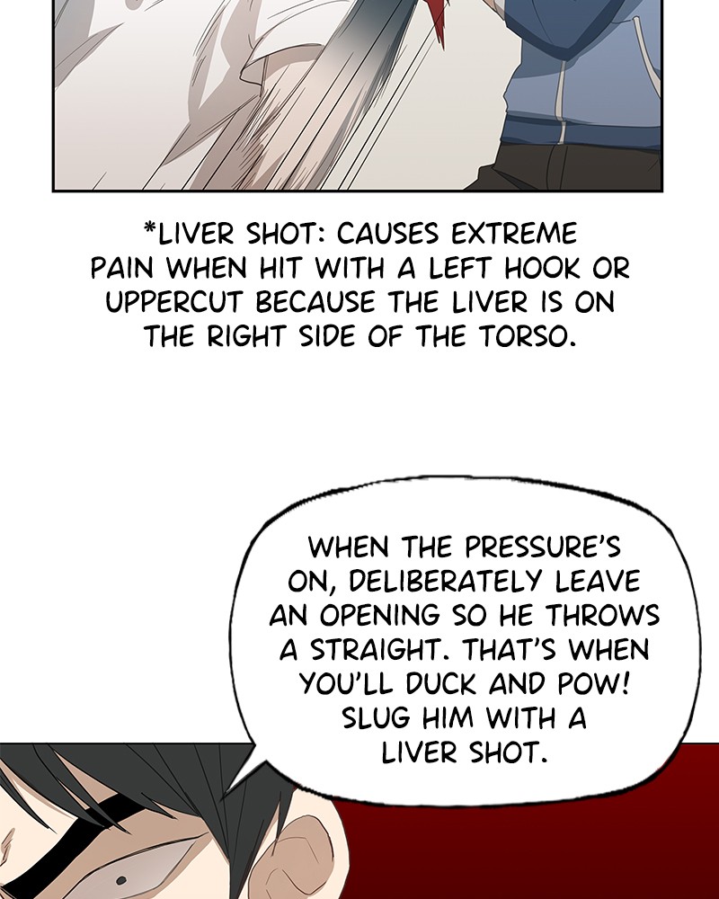 Read The Boxer EN Manga Online