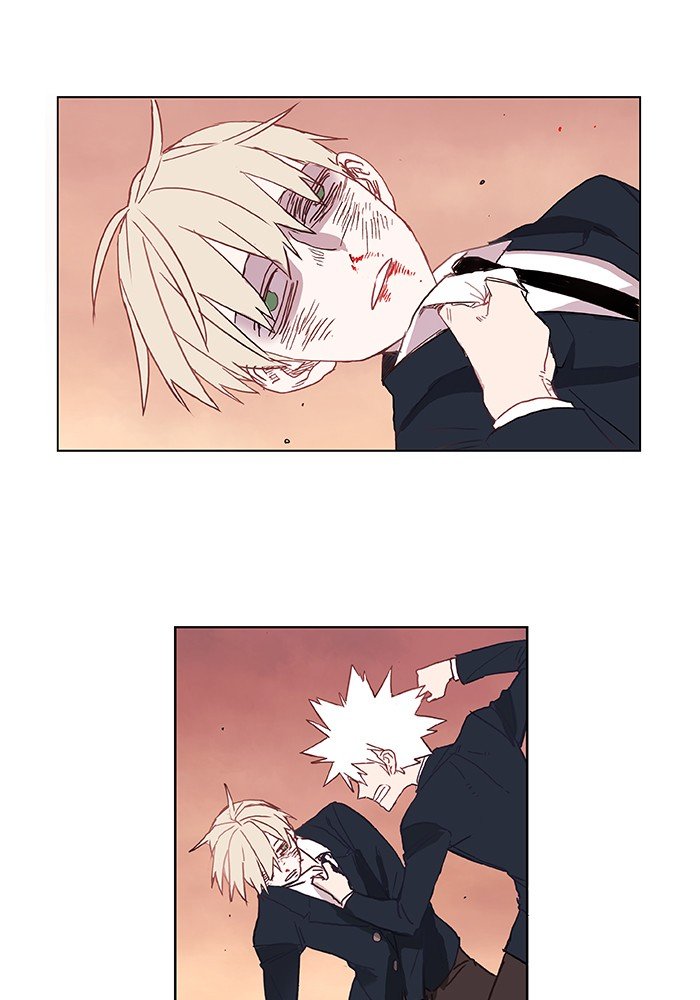 Read The Boxer EN Manga Online