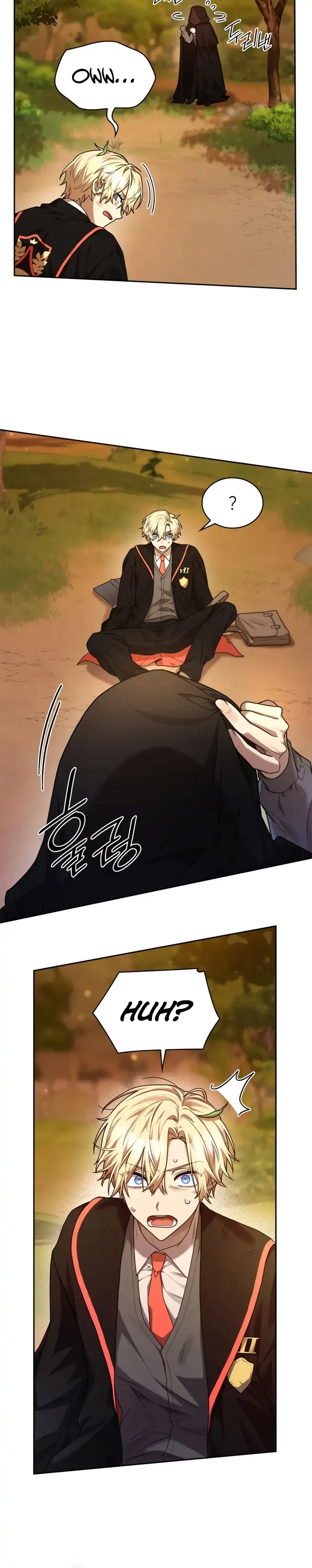 Read The Infinite Mage EN Manga Online