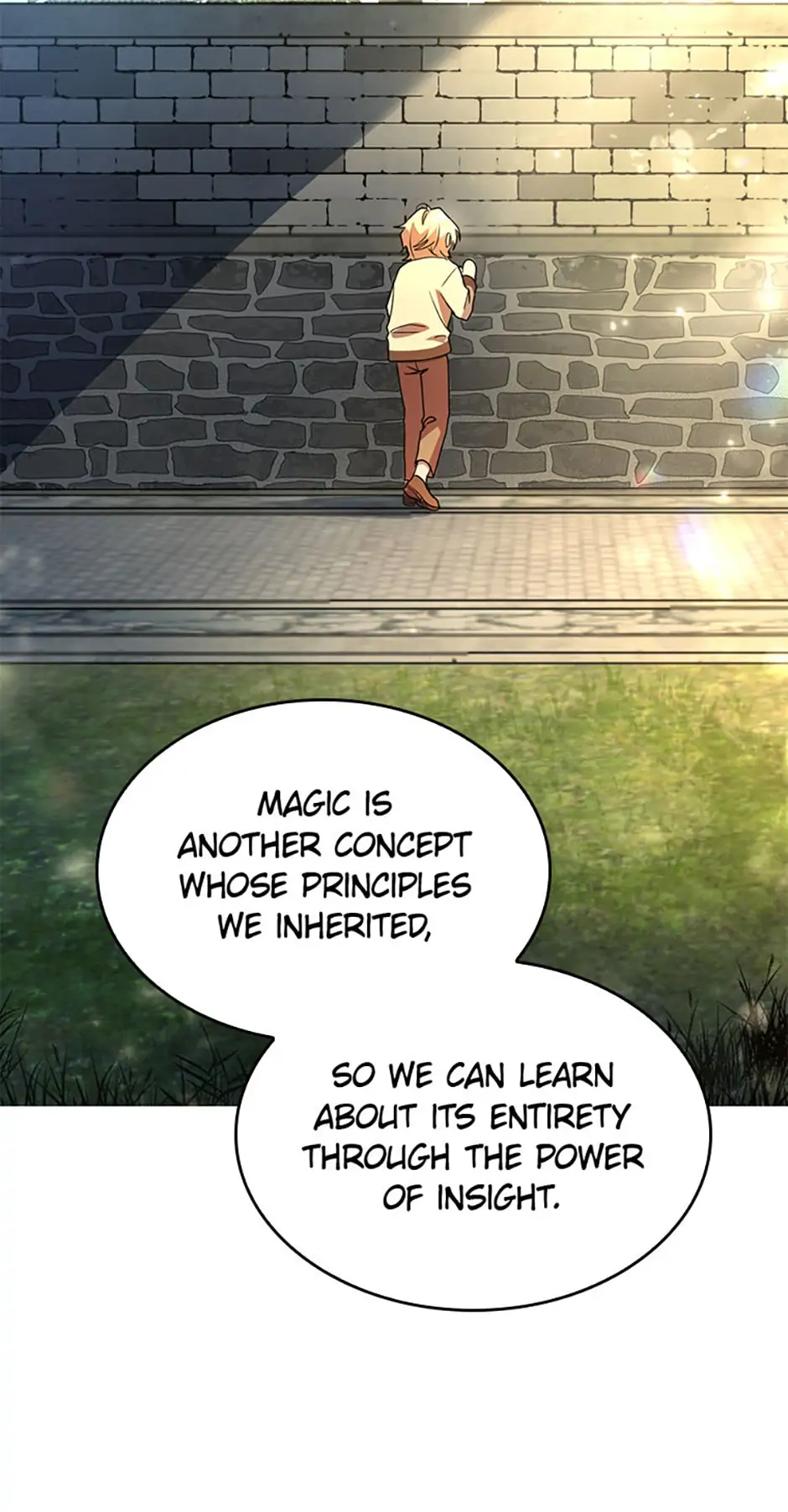 Read The Infinite Mage EN Manga Online