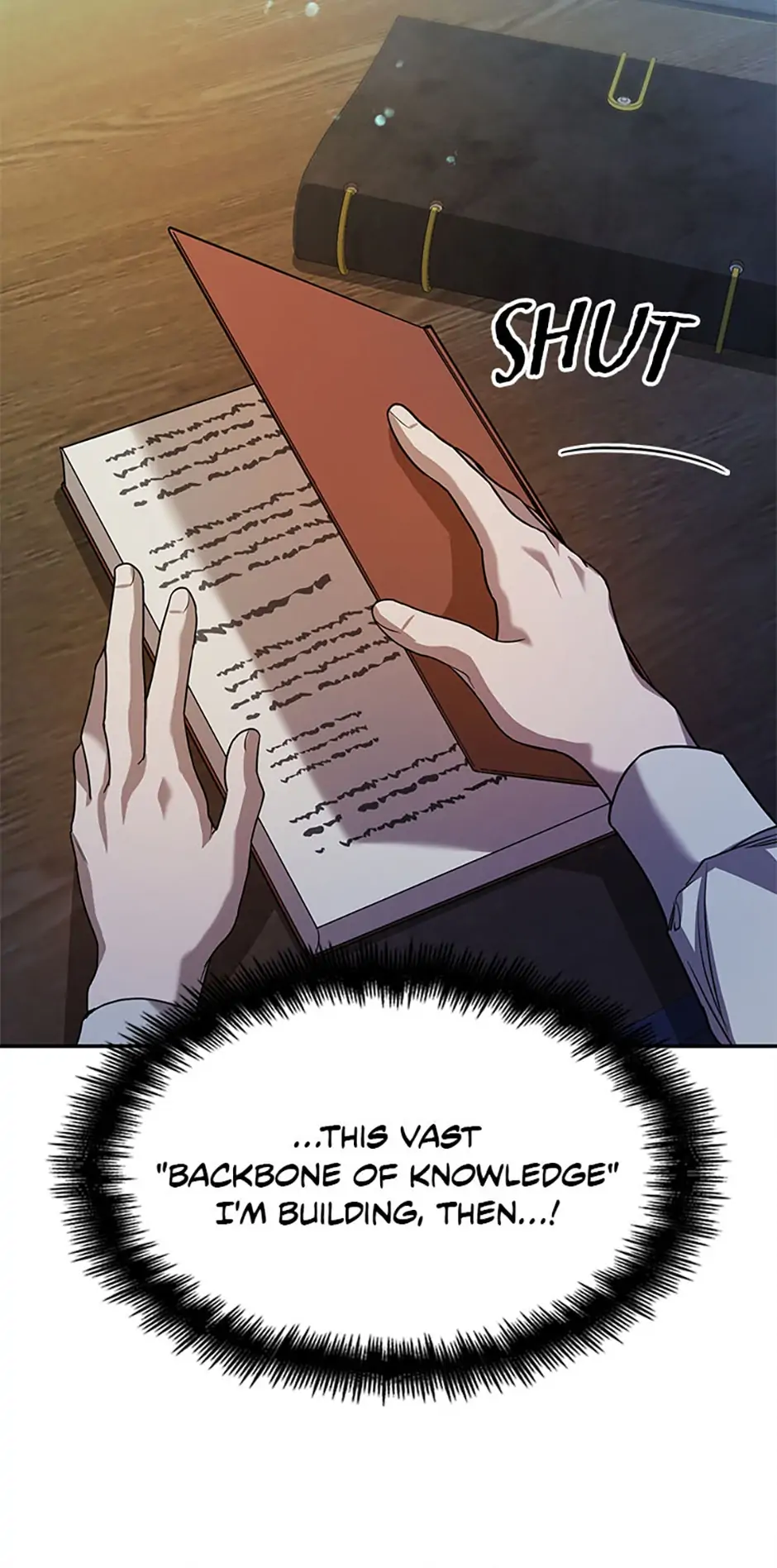 Read The Infinite Mage EN Manga Online
