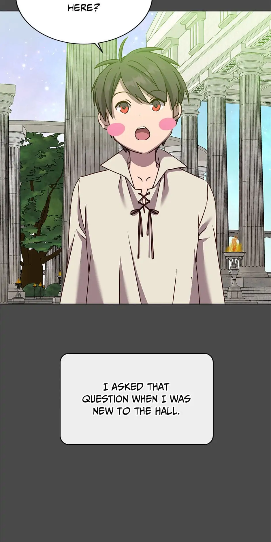 Read The Max Level Hero Strikes Back EN Manga Online
