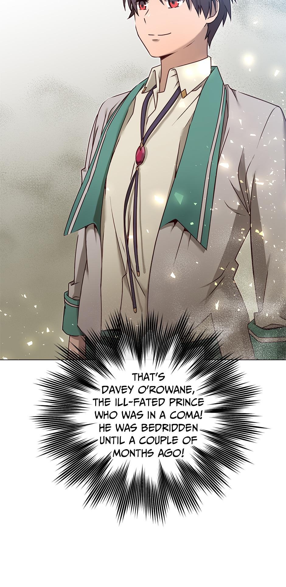 Read The Max Level Hero Strikes Back EN Manga Online