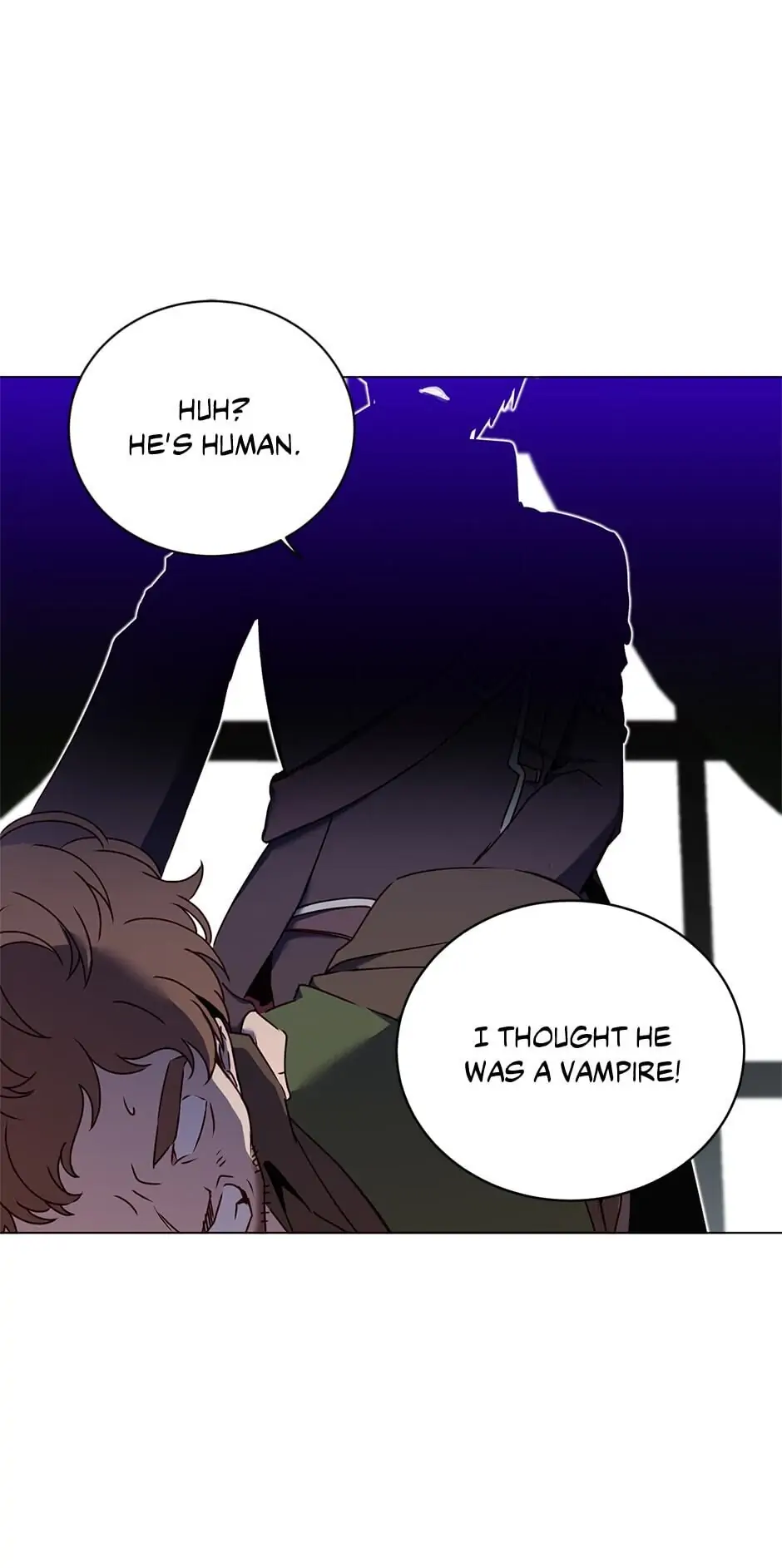 Read The Max Level Hero Strikes Back EN Manga Online