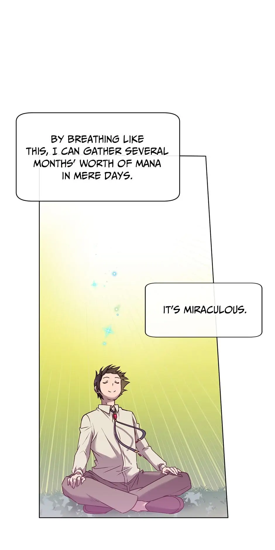 Read The Max Level Hero Strikes Back EN Manga Online