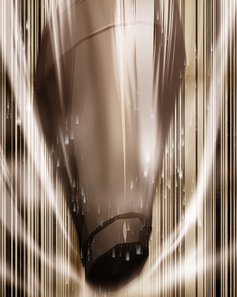 Read The Perfect Hybrid EN Manga Online